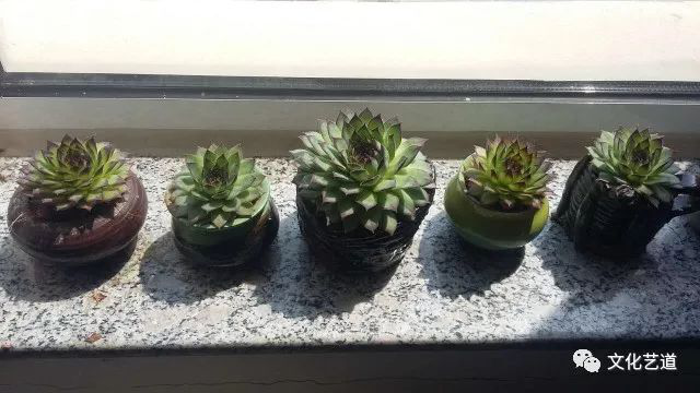 图片14.png 图片14.png